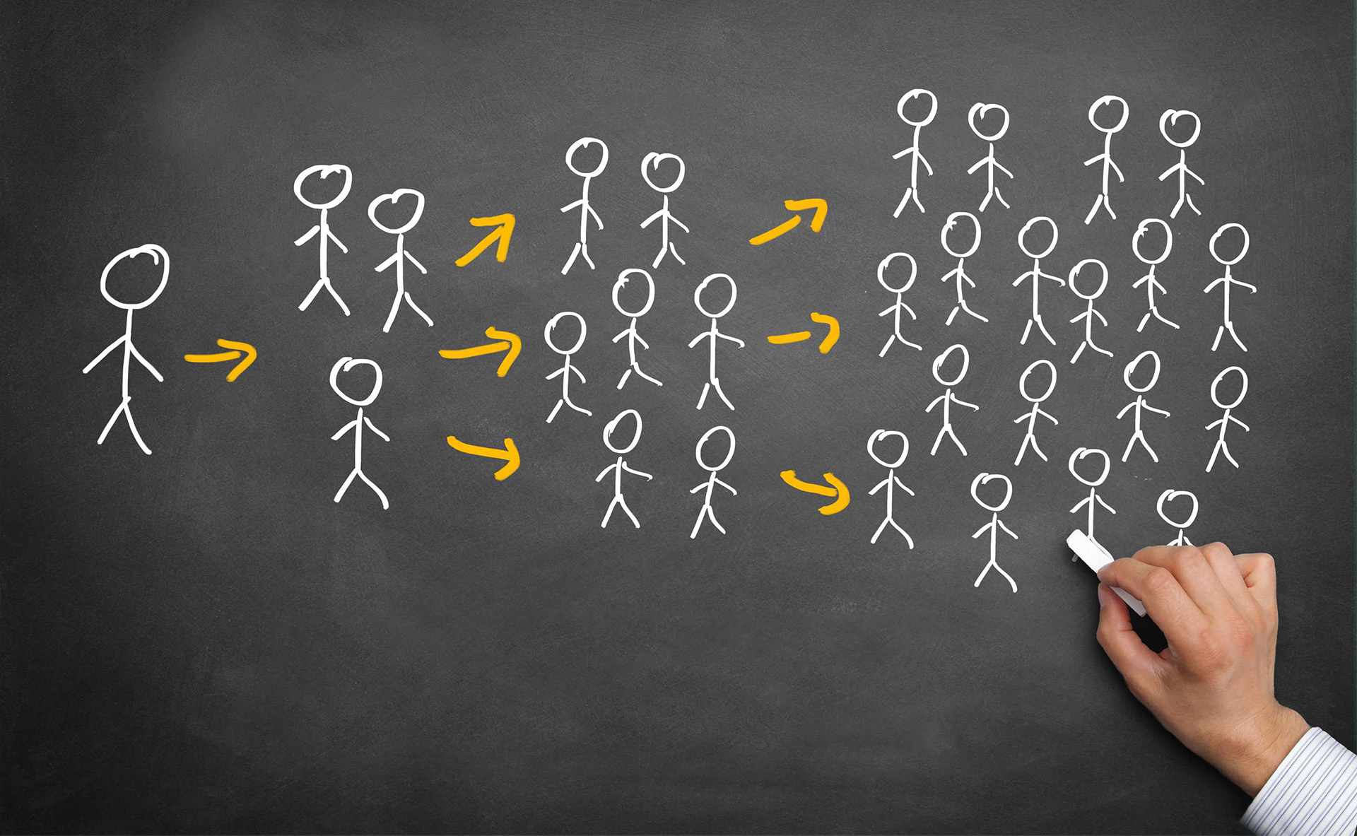 Network Marketing Sistemleri — Binary